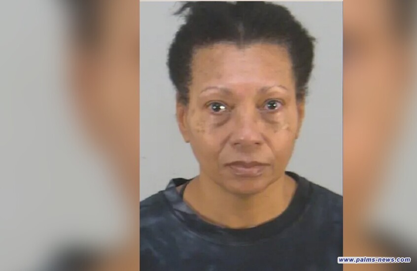 امرأة تغرق كلبها في المرحاض بعد رفض السلطات صعوده للطائرة!